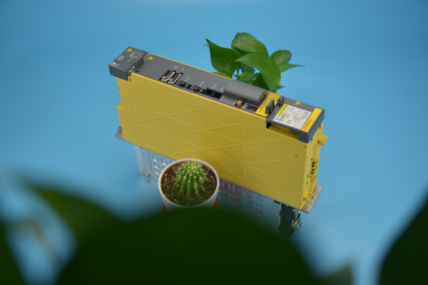 DSC_2509.png